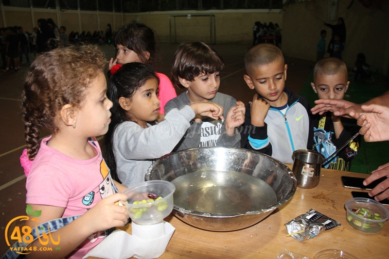 zhtooon nady slamy (1).JPG